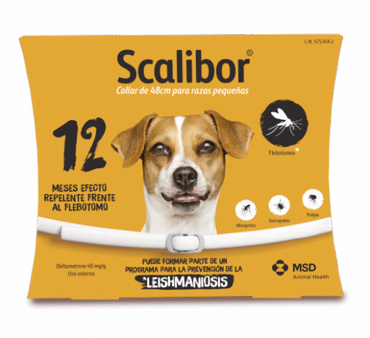 Scalibor 48cm Collar 12 meses