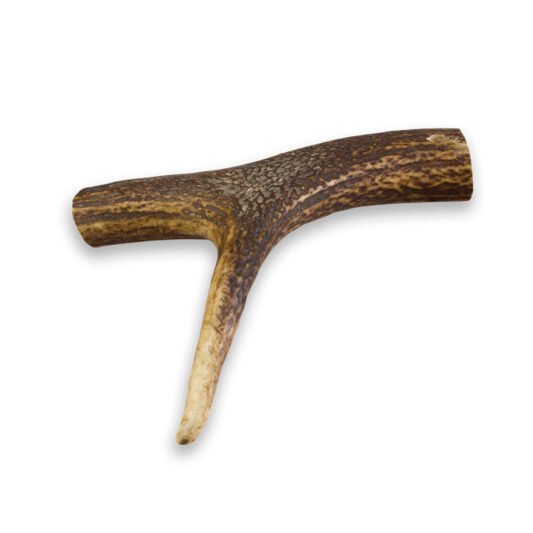 Asta de Ciervo L 80-120g