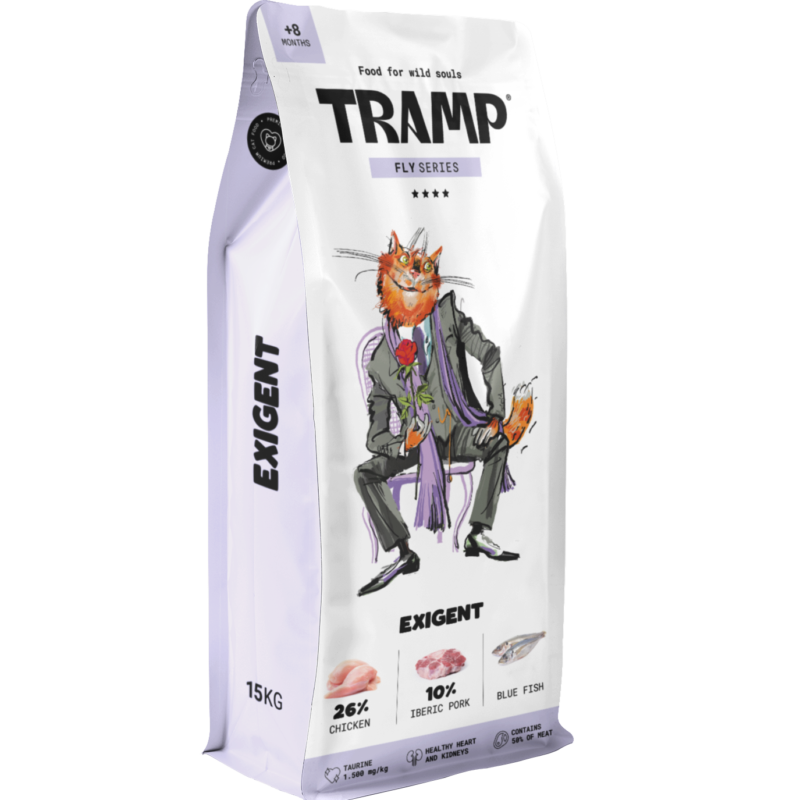 Tramp Fly Cat Exigent