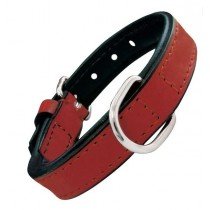 Gloria Collar de Piel Acolchado para Perro