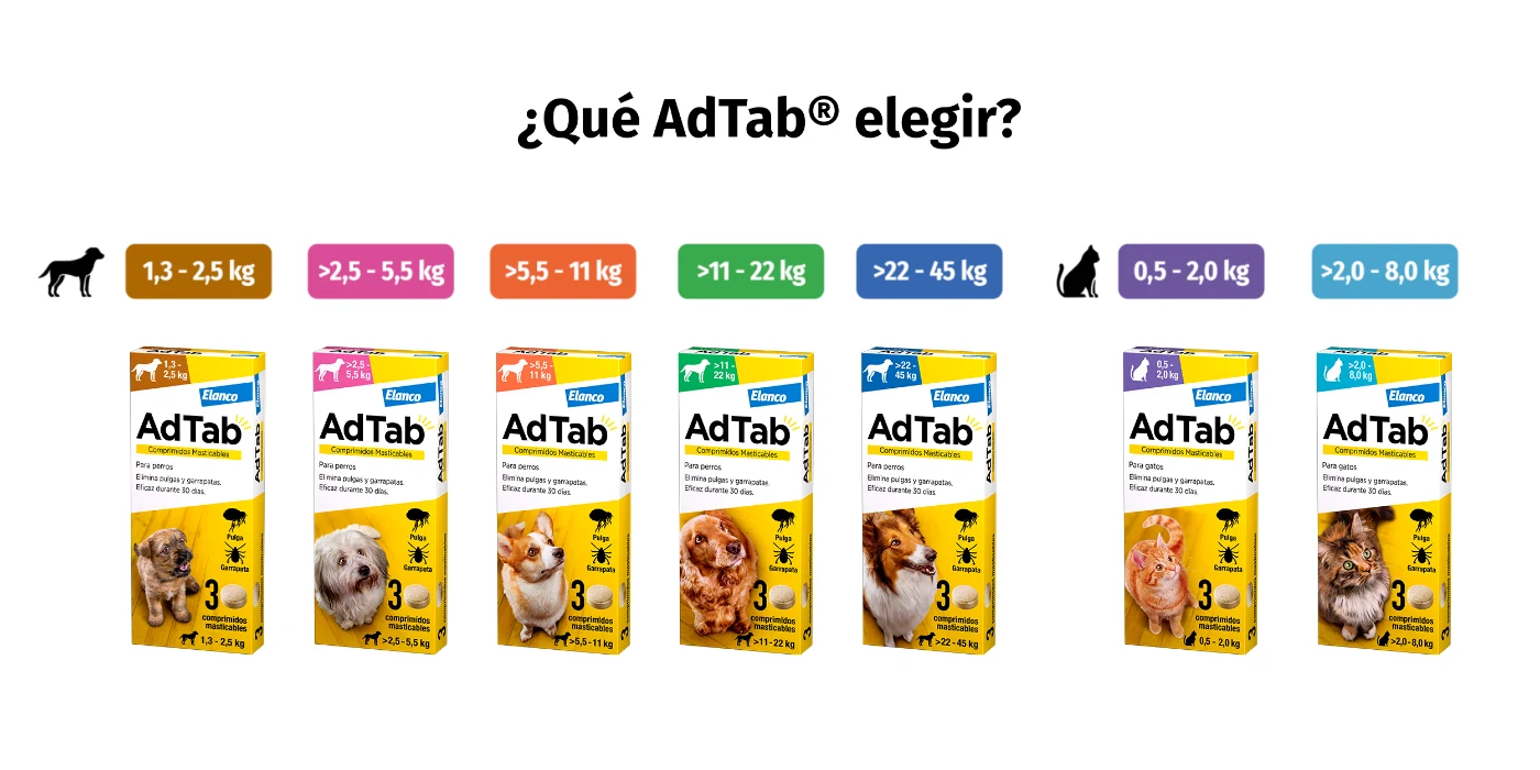 Qué AdTab elegir según el peso del perro: 56 mg, 112 mg, 225 mg, 450 mg y 900 mg
